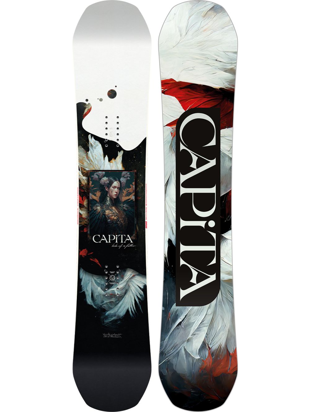 Bird of Feather Tavola Snowboard Donna Multi